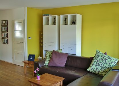 Groenig geel en naturel: kleur ideeën voor op de muur in de woonkamer
