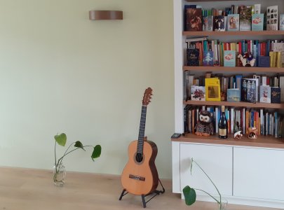Zacht groen achter de witte boekenkast: Kleur ideeën voor de woonkamer