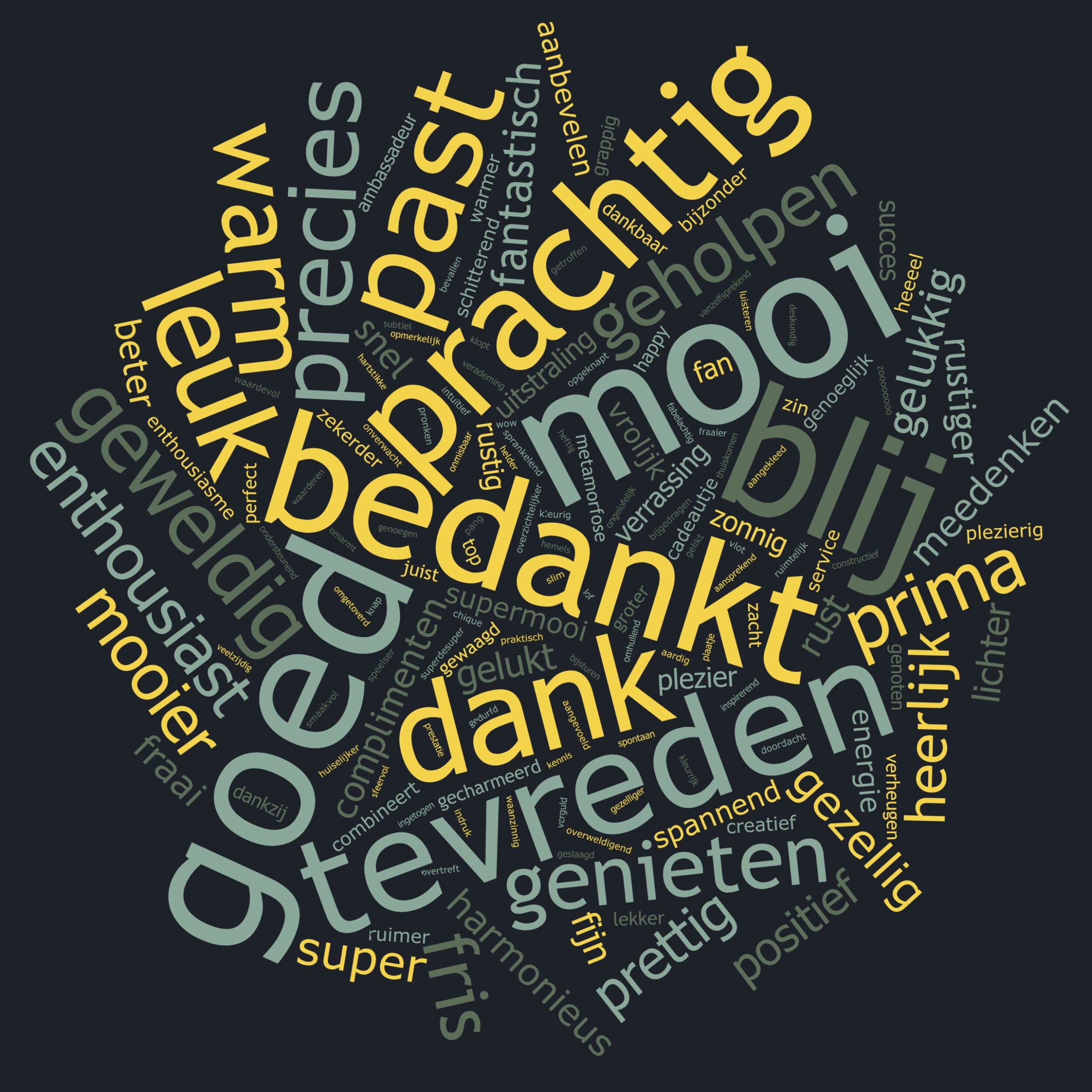 Woordwolk van complimenten in reviews